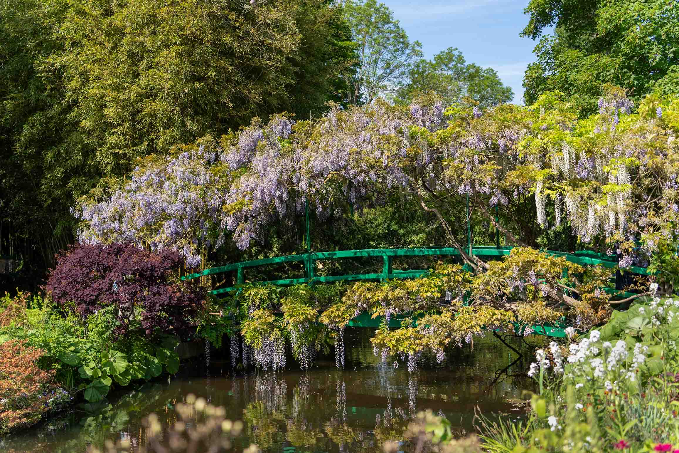 莫奈花園