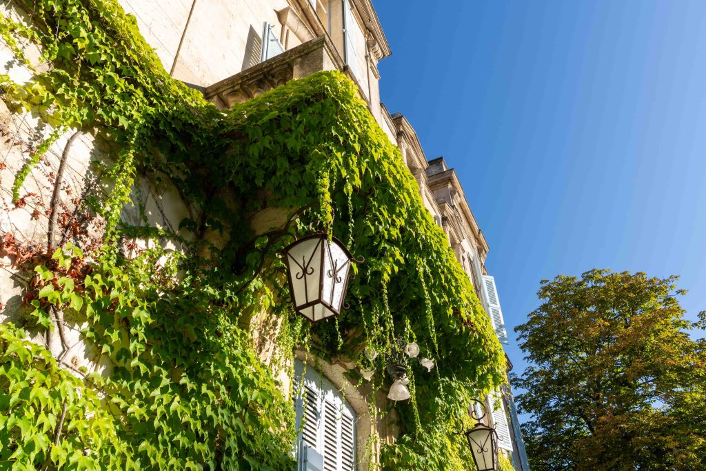 Avignon